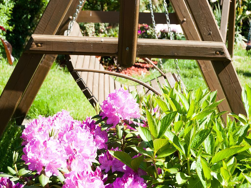 Sloneczny Dwor Bed & Breakfast Krynica Morska Dış mekan fotoğraf
